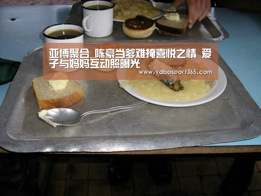 亚博聚合_陈豪当爹难掩喜悦之情 爱子与妈妈互动照曝光(图2) 亚博游戏
