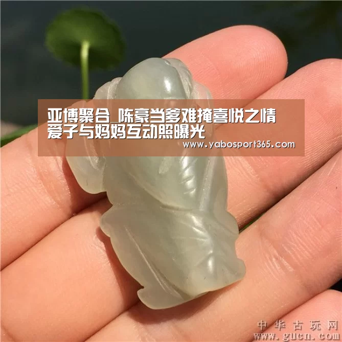 亚博聚合_陈豪当爹难掩喜悦之情 爱子与妈妈互动照曝光(图3) 亚博游戏