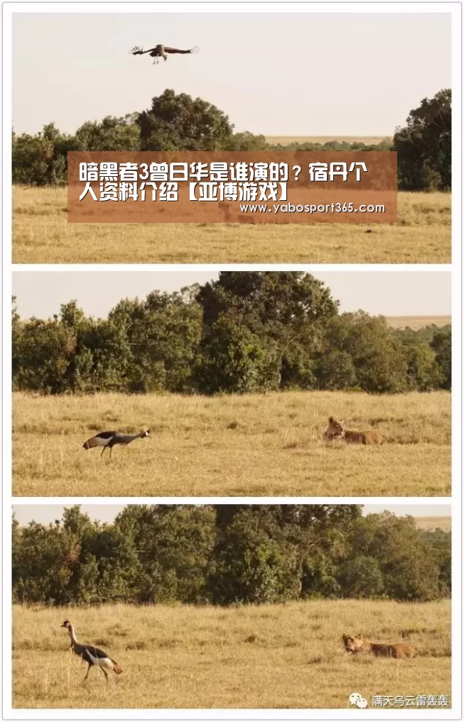 亚博导航